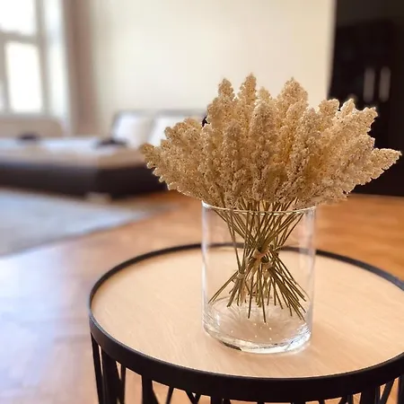 Apartament Luxury Vincents Koszyce