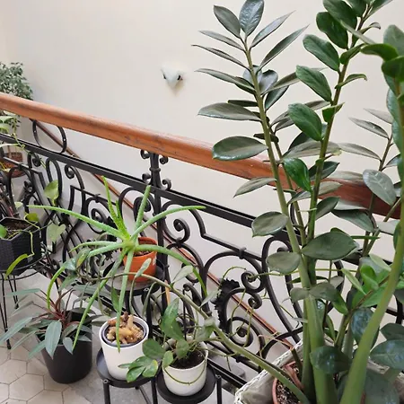 Luxury Vincents קושיצה